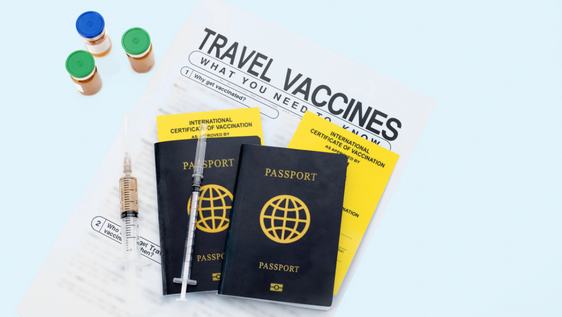 travel clinic, travel health advice, travel vaccines, vaccinations for travelling abroad, malaria prevention, travel clinic worcester